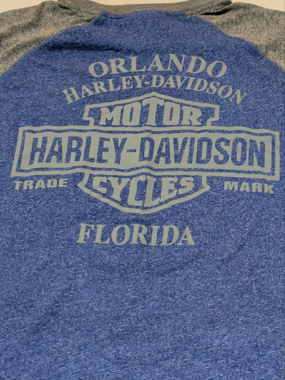 Harley-Davidson Blue & Gray Raglan Long Sleeve Graphic Tee - Picture 3 of 3
